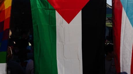House Democrats Renew Effort Calling for Palestinian Statehood