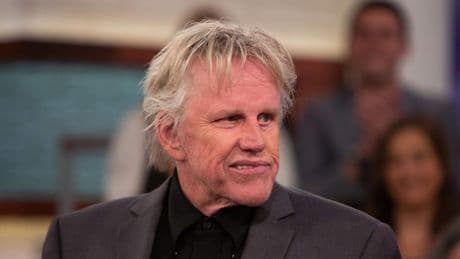 Lethal Weapon-acteur Gary Busey bekent aanranding vrouw, nadat hij eerder ontkende