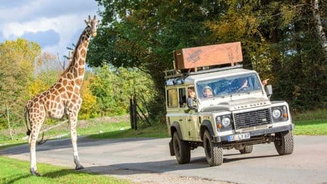 Nur nächstes Wochenende - Freier Eintritt im Serengeti-Park