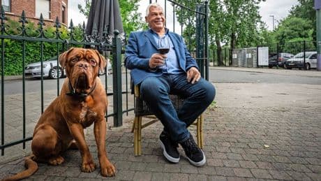 Amsterdammer en oud-Feyenoorder Nico Jansen, held van Milaan, krabbelt na hartoperaties weer overeind: ’Ik zei dat Ernst Happel mij niet moest meenemen naar het WK’78’