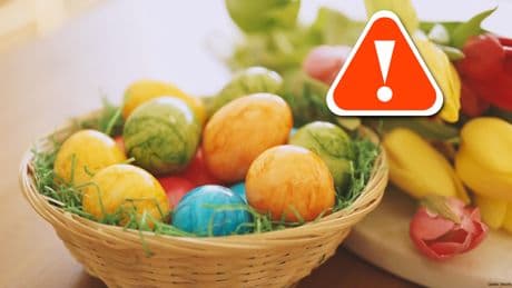Osterzeit: Welche Eier Sie im Supermarkt nicht kaufen sollten
