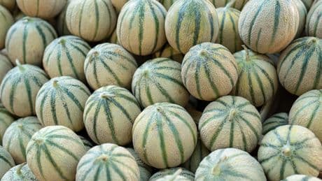 Des melons vendus chez Carrefour, Leclerc ou Intermarché rappelés car contenant trop de pesticides