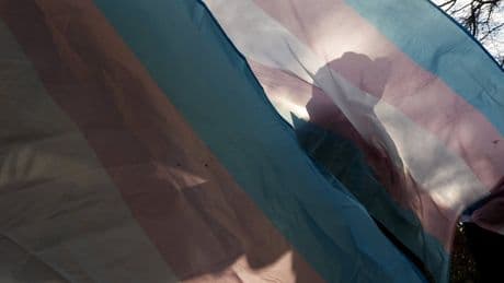 Quebec government committee is concerned about polarization of gender identity issues