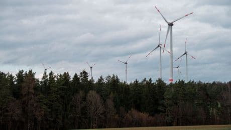 Umweltschutz: Windkraft im Wald – Verbände warnen vor Zerstörung