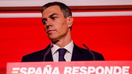 "Une énorme déception": Pedro Sánchez demande "pardon" pour une affaire de corruption au sein de son parti