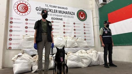 Kapıkule'de 3 tırda 179 kilo uyuşturucu ele geçirildi