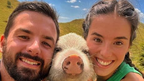 Oasi Pumbino, l’eredità di un maialino eccezionale