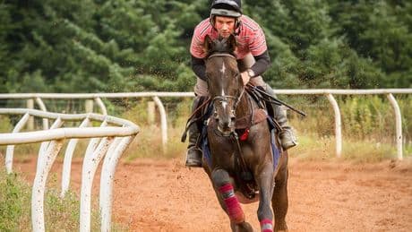 Beloved Scots horse racing trainer James Ewart quits the sport and airs the reasons why time is up