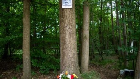 25 Jahre NSU-Morde: Als das Komplettversagen der Ermittler seinen Anfang nahm