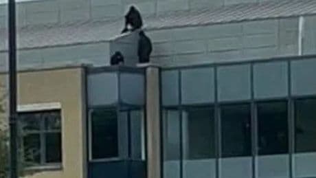 Kings Hill LIVE as 'men in balaclavas' scale huge building with armed police rushing to scene