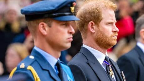 Prince Harry and Prince William face 'chaotic' reunion after years of bitter silence
