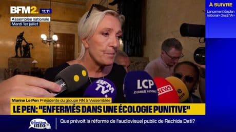 Motion de censure PS : le RN ne la votera pas car "elle n'apporte rien aux Français"