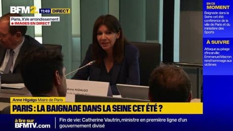 Baignade dans la Seine: "Il y a des silures mais ça ne mange pas les humains, donc tout va bien", plaisante Anne Hidalgo