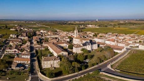 Bordeaux Vintage 2024 Tasting Notes - Left Bank, EDM And White Wines