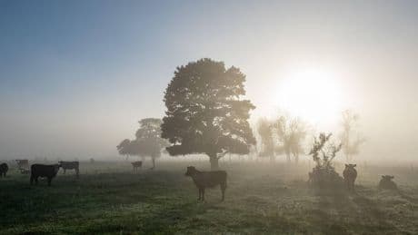 Uruguay: Oh, wie schön ist Uruguay