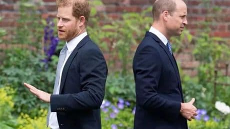 William and Kate Middleton's 'hidden role' in Harry talks as brothers' future is revealed