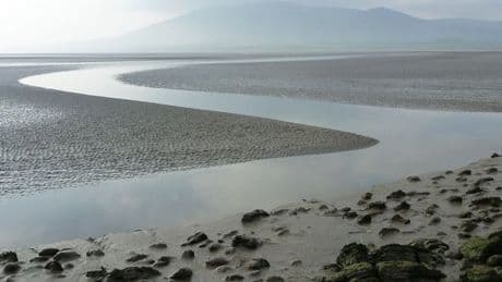 Dumfries and Galloway Solway coast environment project in line for £8 million