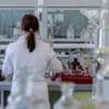 Cette faculté et François Hollande veulent un statut de réfugié pour les scientifiques américains