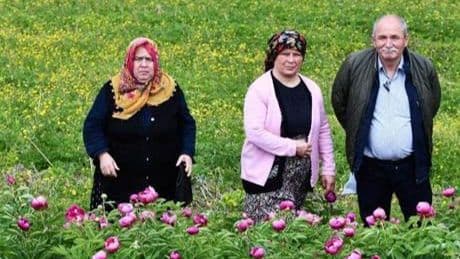 Dokunmak yasak! Bedeli yarım milyon