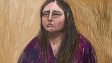 Erin Patterson tells triple murder trial she knew foraged mushrooms may have ended up in fatal lunch
