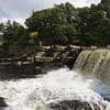 Heartbreak as body of boy found after frantic search for 12-year-old who went missing in river at beauty spot