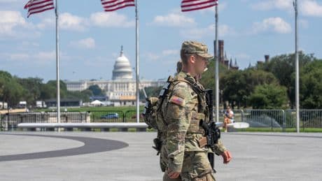 Some Republicans want Trump to expand use of military on US soil