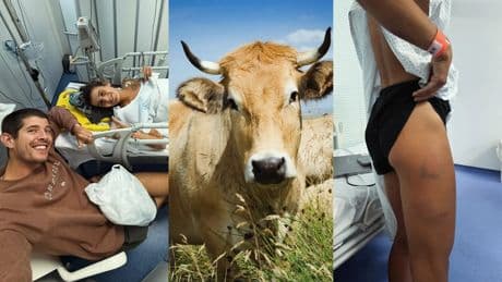 Una vaca embiste a la ultrarunner Sara Alonso al entrenar: &quot;Pensaba que seguiría corneándome hasta que me matara&quot;