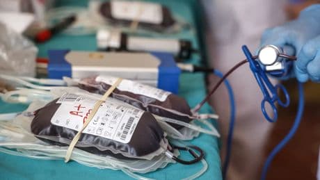 La creciente demanda y la escasez de oferta de hemoderivados ponen a 65.000 pacientes en una &quot;situación insostenible&quot;