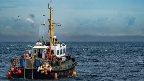 EU fisherman issue 6 word boast after Keir Starmer Brexit surrender
