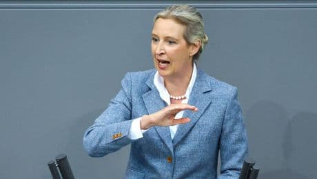 „Gesichert rechtsextremistisch“ - So reagiert die AfD