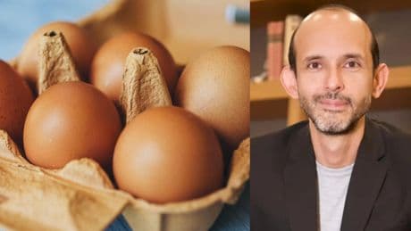 Francisco Rosero, endocrino, lanza un aviso en España: "Comer esta cantidad de huevos al día mejora el corazón"