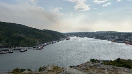 Ontario water bombers dispatched to help fight wildfires in Newfoundland and Labrador