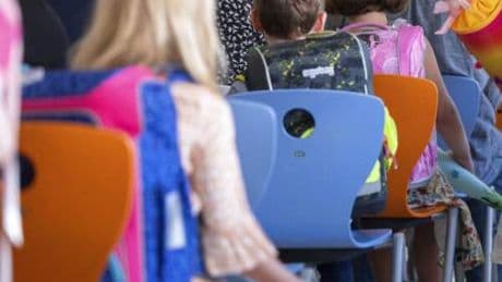 "I genitori sono insegnanti e non lavorano". E il bimbo viene escluso dal centro estivo