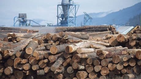 A trade deal with the U.S. could include lumber quotas, Carney says