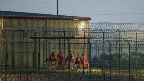 Federal Courts Buck Trump Deportation Schemes, Focusing on Due Process Rights