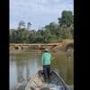 Isolated Amazon tribe seen near logging bridge site, alarming rights group