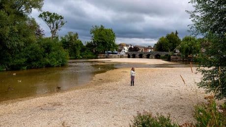 Parched England leaves wildlife and farmers living on a knife edge after drought