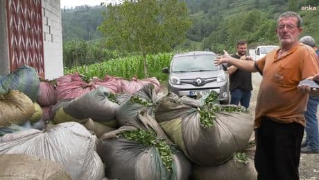 Trabzon'da çay üreticileri, ÇAYKUR'un uyguladığı kota ve kontenjan uygulamalarını protesto etti