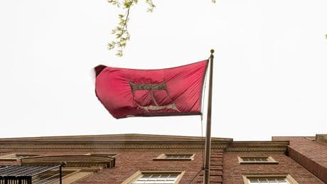 These Asian Universities Are Seeking to Attract Harvard Transfers as Trump Targets International Students