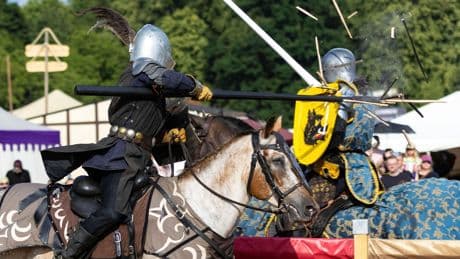 Mittelalterliches Phantasie Spectaculum: Hoher Schaden durch Diebe