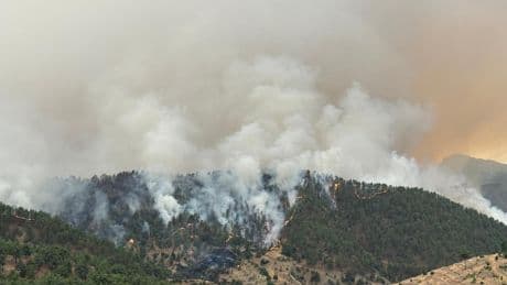 Maraş Onikişubat’ta orman yangını: Havadan va karadan müdahale sürüyor