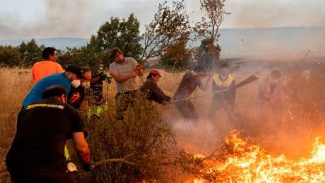 Consumidores piden que las localidades afectadas por los incendios se declaren Zona Catastrófica para obtener ayudas