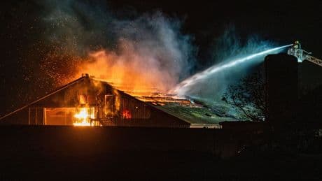 Grote brand bij Limburgse kippenhouderij, aantal stalbranden blijft hoog