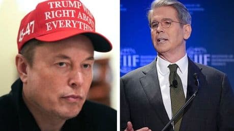 Elon Musk has 'shouting match' with Donald Trump's tariff guru in major rift