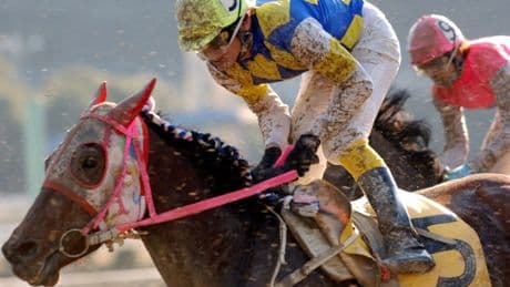 Horse famed for losing every single race and wearing a Hello Kitty mask is mourned: ‘Shining star of losers’