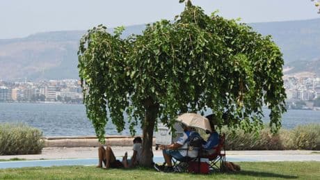 İstanbul'da gün içinde en yüksek sıcaklık 38 dereceyle Tuzla’da ölçüldü