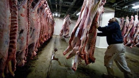 Suiza exige que las etiquetas de alimentos aclaren si hubo “dolor o crueldad animal”