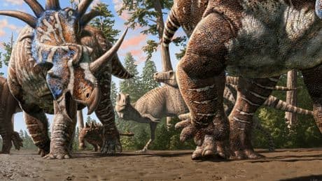 Groundbreaking fossil footprints reveal dinosaurs of different species herded together