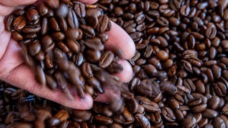 Kaffee verliert an Bedeutung: Junge Deutsche setzen jetzt auf andere Wachmacher