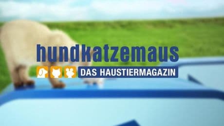 Themen, Moderatoren und Sendezeiten - Alles über das VOX-Tiermagazin „hundkatzemaus“